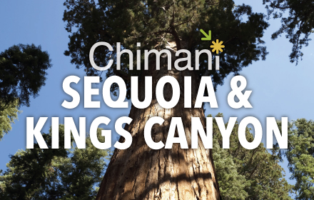 Sequoia Kings Canyon: Chimani small promo image