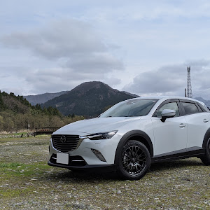 CX-3 DKEAW