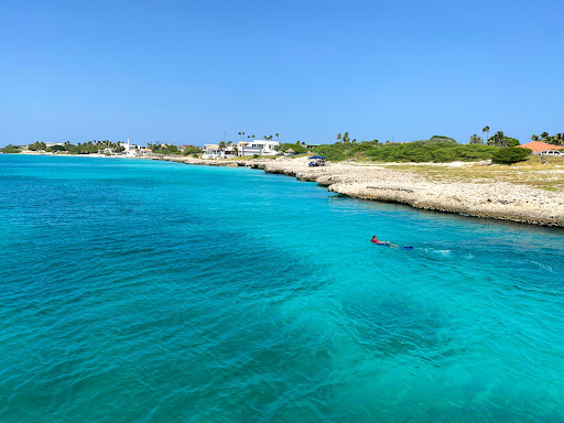 Snorkeling along the coastline of Aruba. 