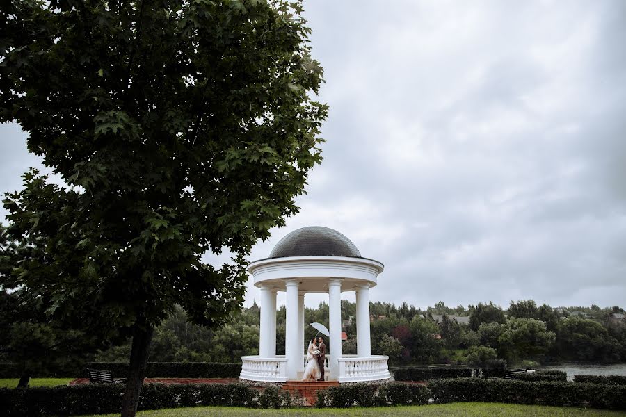 Wedding photographer Sveta Matrosova (matrosovafoto). Photo of 26 November 2019