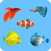 Learning Name Of Fishes  Icon