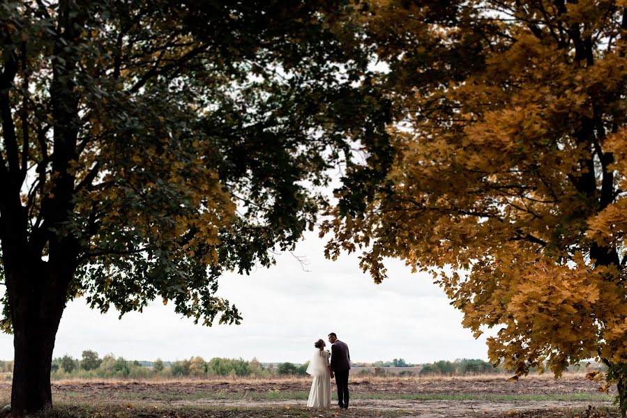 Wedding photographer Viktoriya Pustovoyt (pustikvika). Photo of 10 October 2019