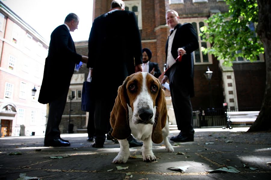 結婚式の写真家Andy Bennett (andybennett)。2015 3月6日の写真