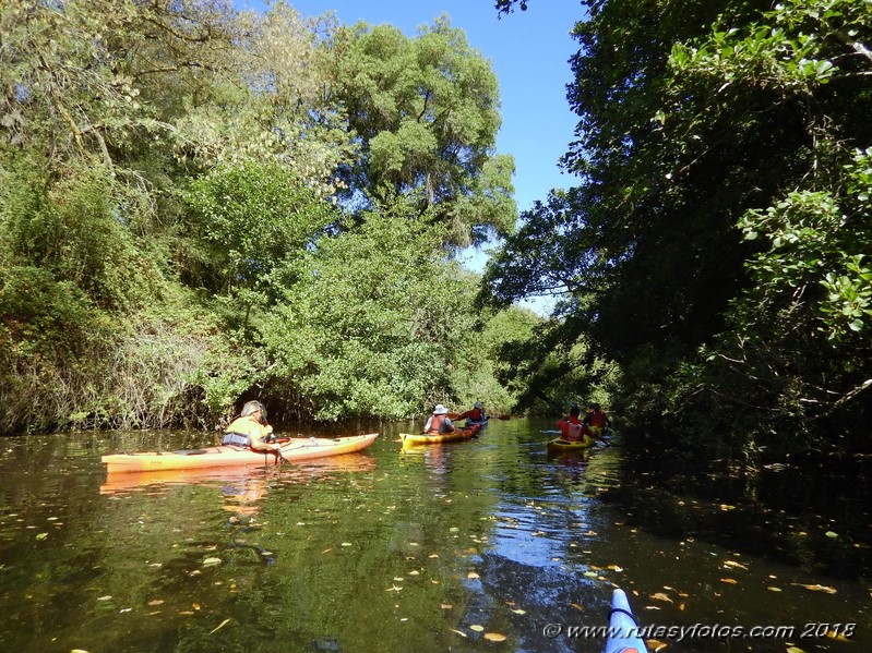 Kayak río Palmones