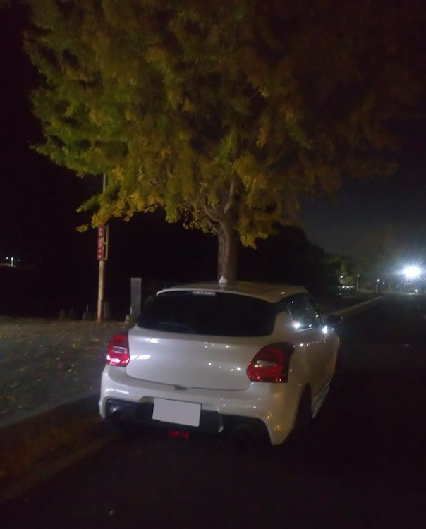 スイフトスポーツのみんなのエンジンルーム見てみたい・夜紅葉と愛車に関するカスタム事例の投稿画像3枚目