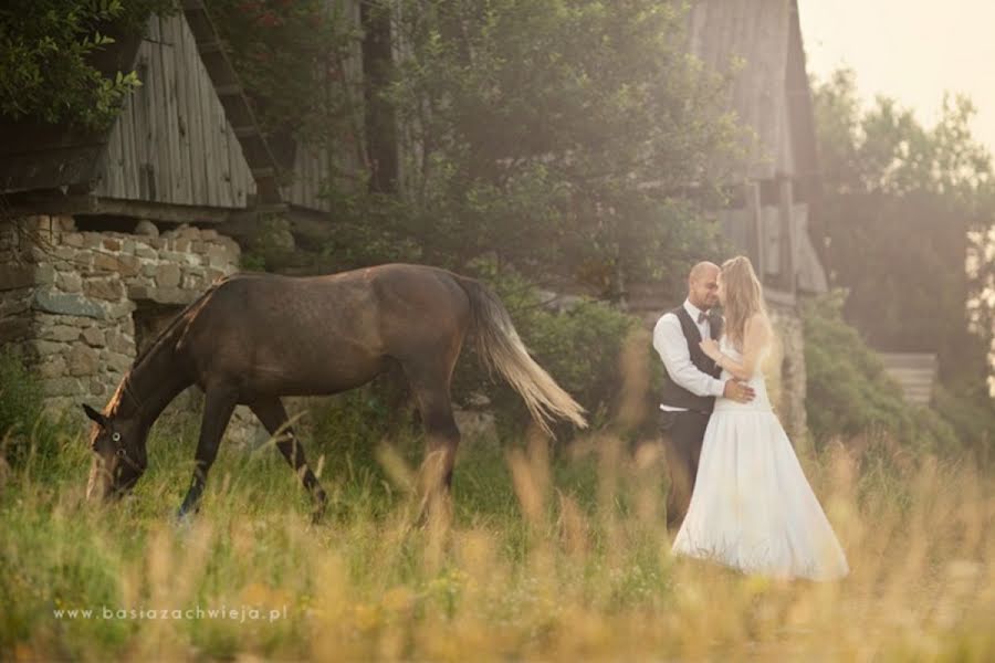 Fotografo di matrimoni Barbara Zachwieja (basiazachwieja). Foto del 10 marzo 2020