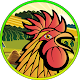 Rooster Lutte Sim Multijoueur icon