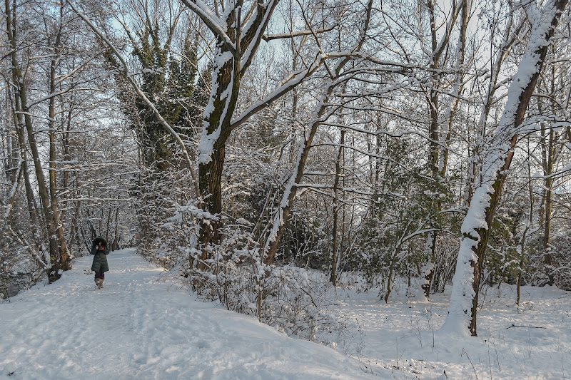 Una bella nevicata! di Pi_M_Pi