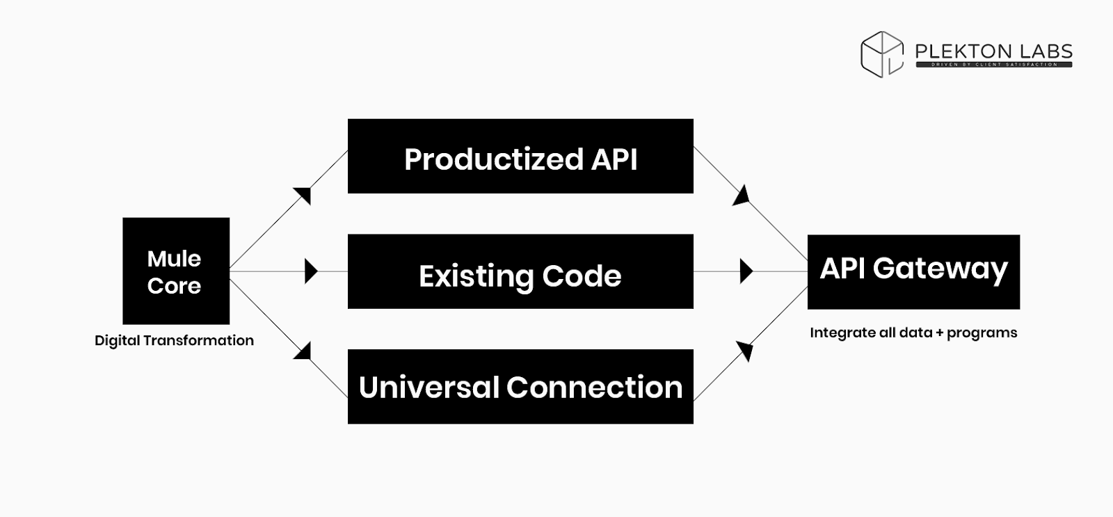 API-led connectivity  minimalistic model