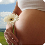 Pregnancy Calendar Apk