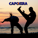 Download Learn Capoeira For PC Windows and Mac 1.0