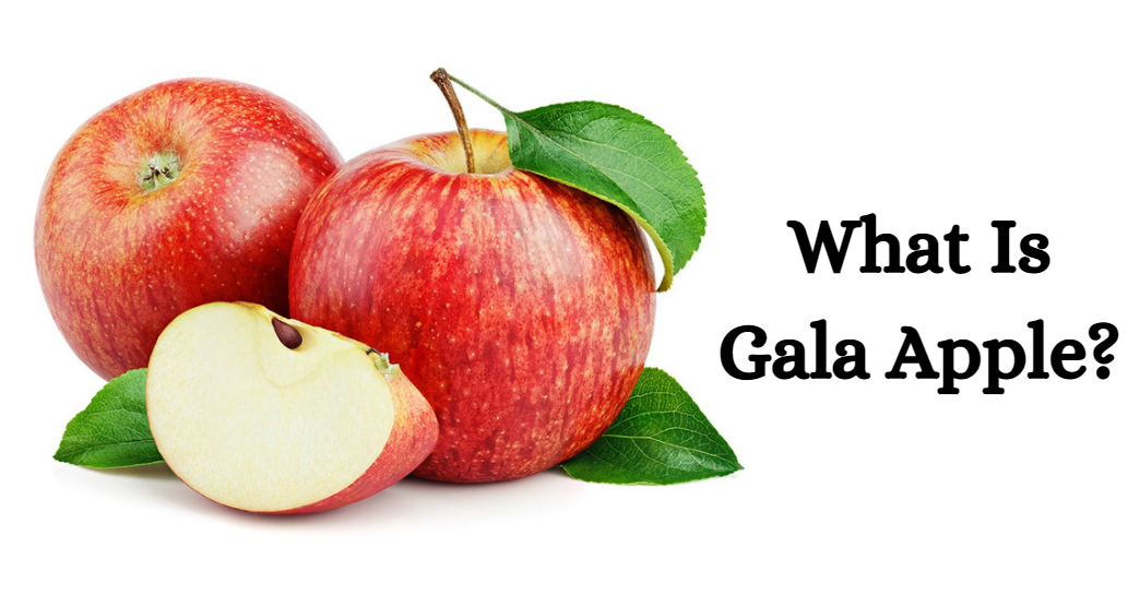 What Is Gala Apple?