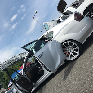 フーガ PY50