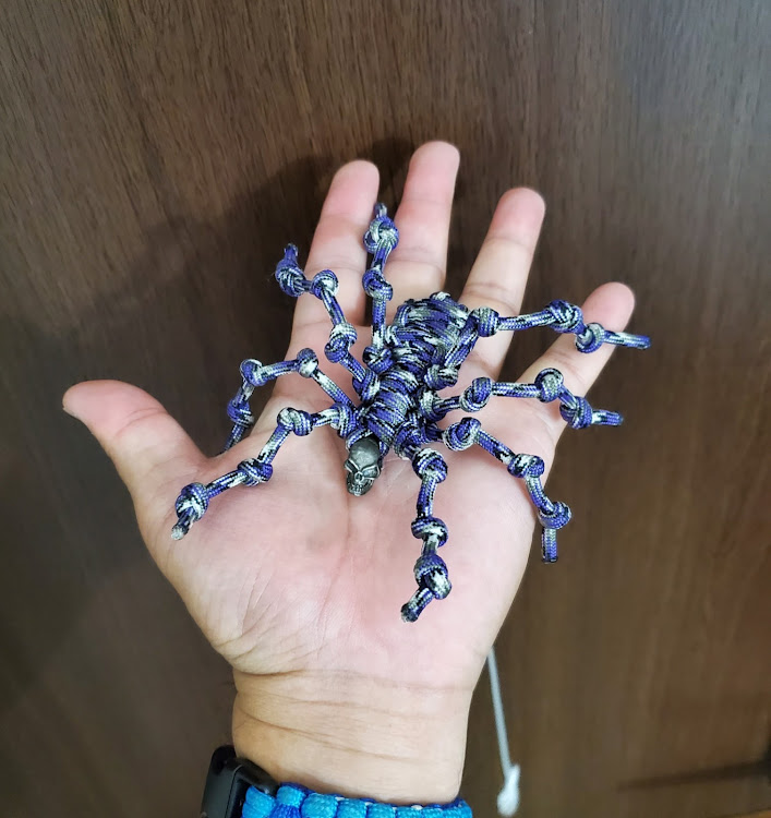 ハイエース スーパーロングのグランドキャビン・アゲ系ハイエース・味噌屋オフ会・蜘蛛・虫除け対策に関するカスタム事例の投稿画像3枚目