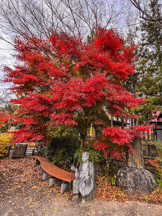 ヴェルファイアの紅葉と愛車・山梨ドライブ・猿橋・田原の滝・写活の秋に関するカスタム事例の投稿画像8枚目