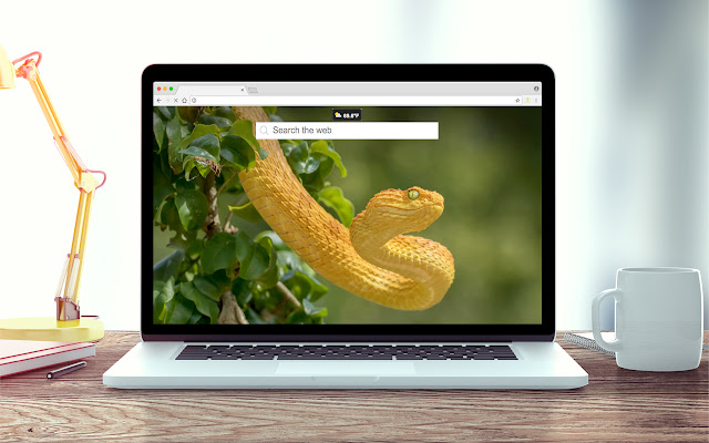 Snakes Wallpapers New Tab Theme