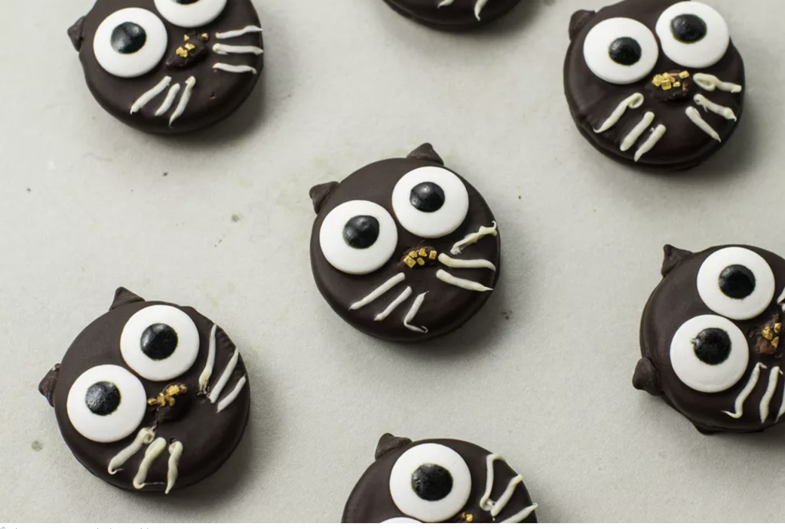 black cat chocolate dipped cookies