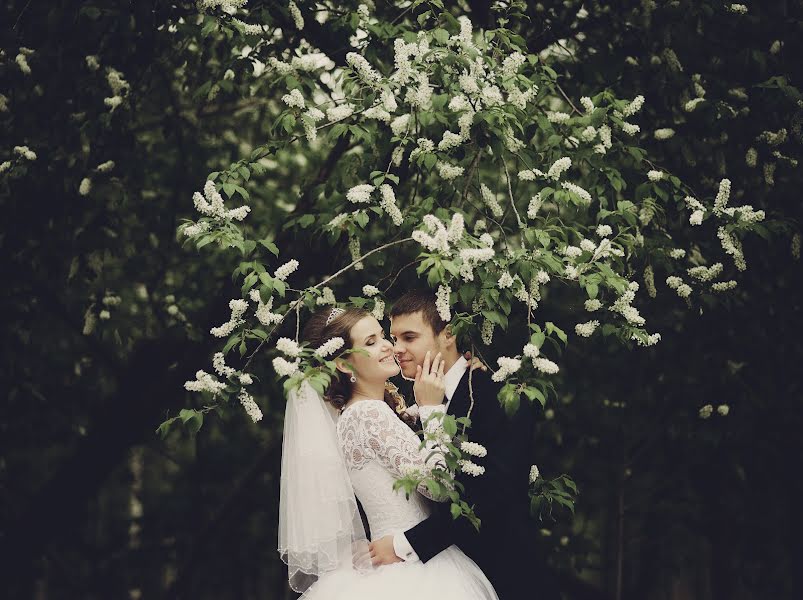 Photographe de mariage Aleksandr Soroka (soroka86). Photo du 29 mai 2016