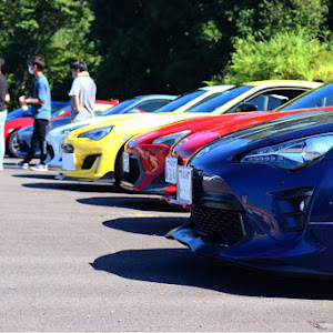 BRZ ZC6