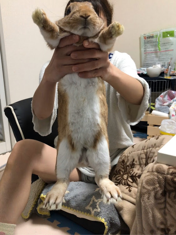 ミニ ハッチバックの仕事・エンジンかかった・車好きな人と繋がりたい・ミニクーパーに関するカスタム事例の投稿画像4枚目