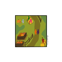 Pumpkin Patch