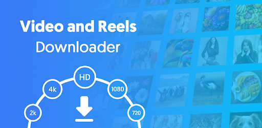 Video Downloader - Story Saver