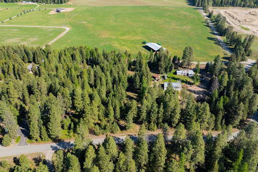 Terrain 1