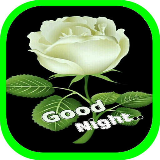 Good Night And Morning picture for whatsappe 2021