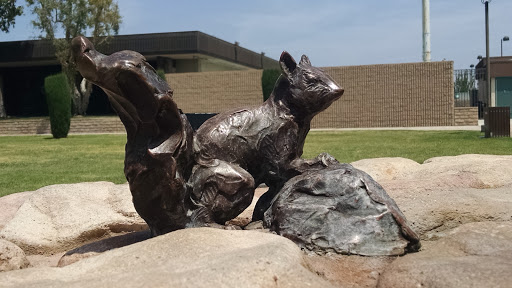 Bronze Squirrel