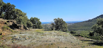 terrain à Biguglia (2B)