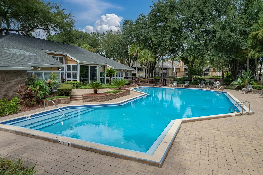 Clear, blue swimming pool surrounded by lounging chairs and shaded by tall trees.