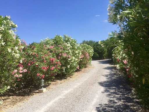 Finca for up to 8 people in Santa Margalida