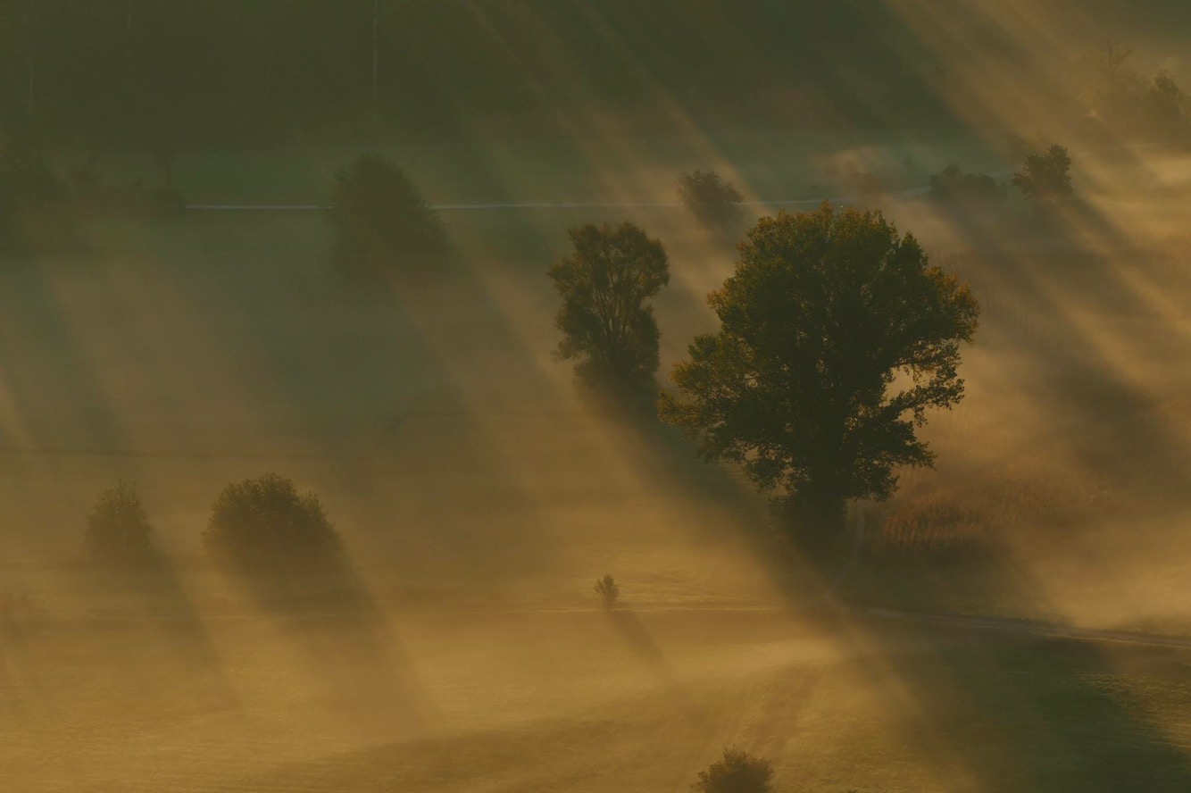 Prima che esplodano i colori dell'autunno di Jorjo