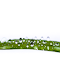 Item logo image for Lots of water drops on green reed