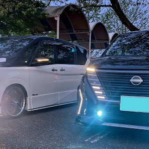セレナ GFC28