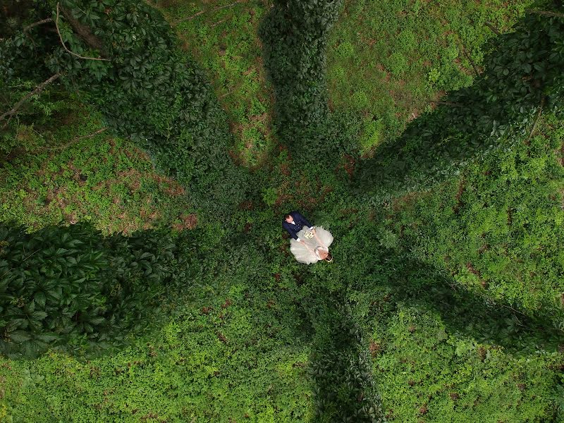 Düğün fotoğrafçısı Marius Balan (fotoemotii). 24 Haziran 2018 fotoları