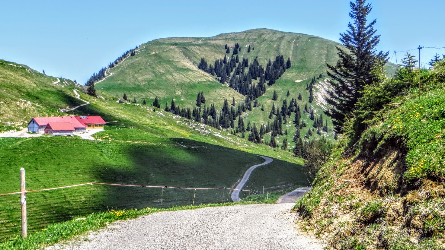 Scheidwangalpe Hochgrat Naturpark Nagelfluhkette Blaichach Allgäu bayern 