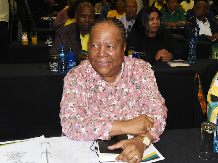 International relations and cooperation minister Naledi Pandor says there have been many 'surprise warnings' by the US embassy in South Africa. File photo.