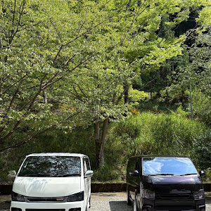 ハイエースバン KDH201V