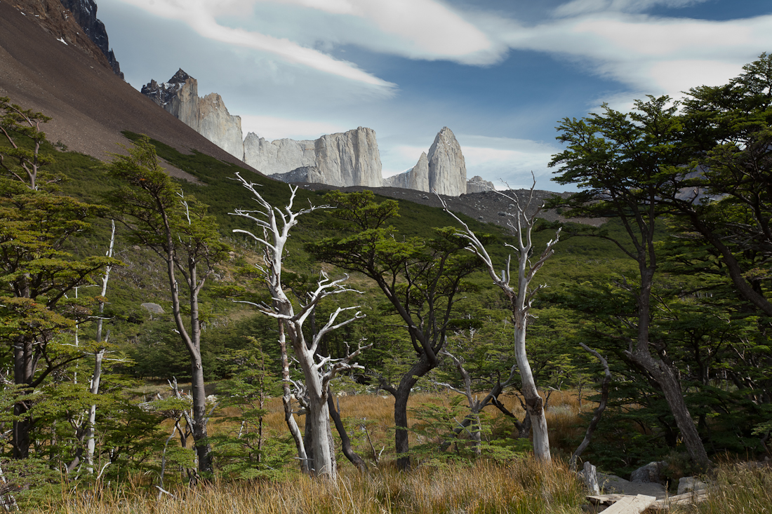 Патагония: Carretera Austral - Фицрой - Торрес-дель-Пайне. Треккинг, фото.