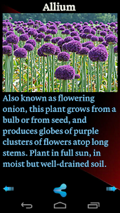 Download World Of Flowers APK
