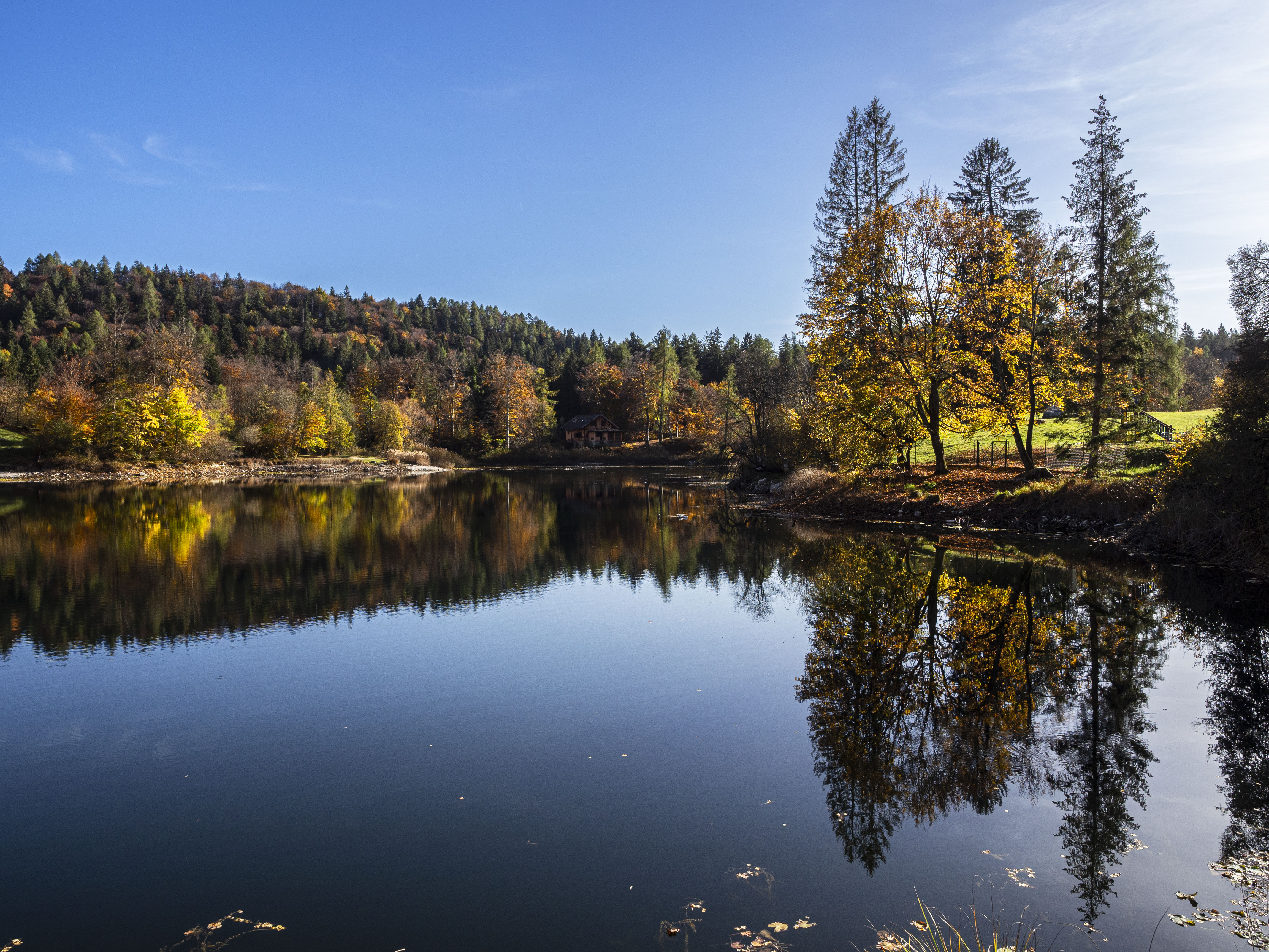 Riflessi d'autunno di mamanu