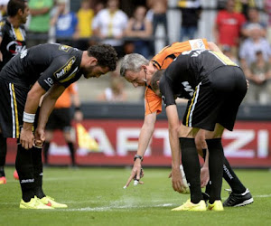 Vanishing spray verovert Europa