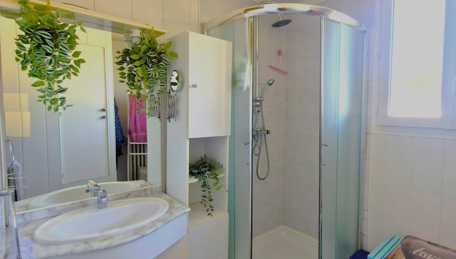 Maison à vendre à Le Coudray-Montceaux (91) - Salle de bain avec douche et lavabo