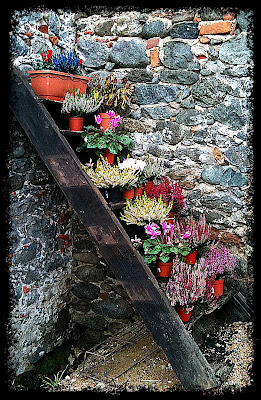 scala di fiori  di Gabor