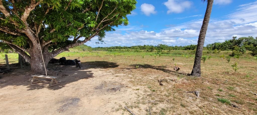 Fazenda