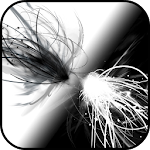 Black & White Wallpapers Apk