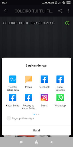 Canto de Coleiro Tui Tui Professor