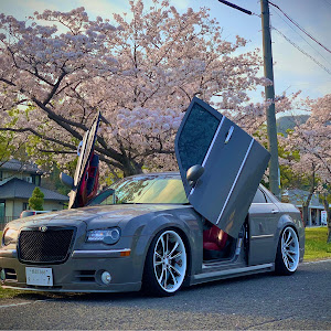 300C LX35