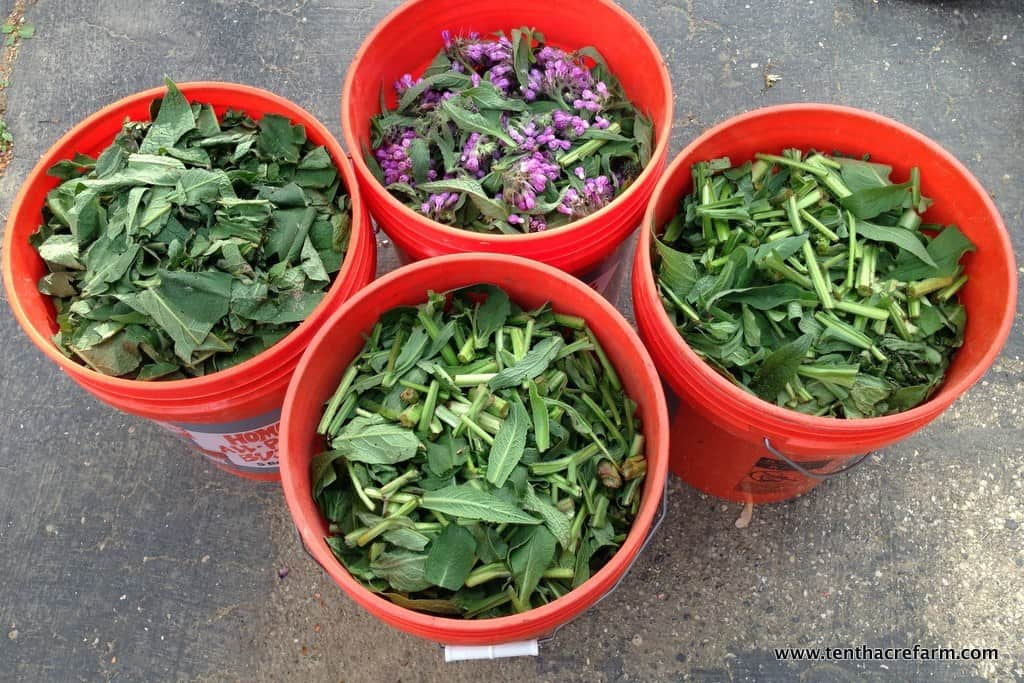 Compost Activator